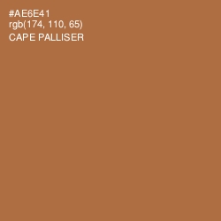 #AE6E41 - Cape Palliser Color Image
